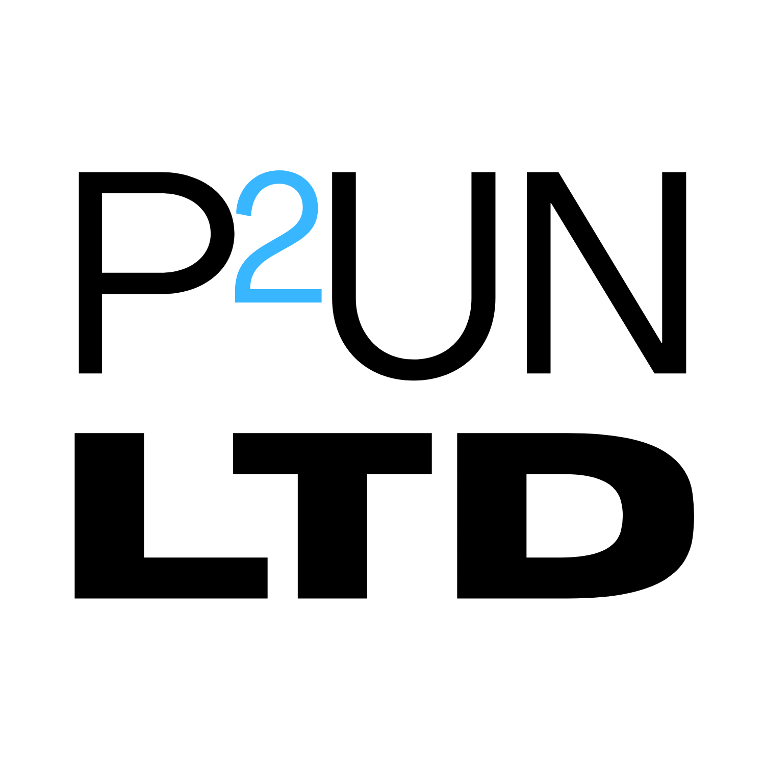 P²UN LTD logo